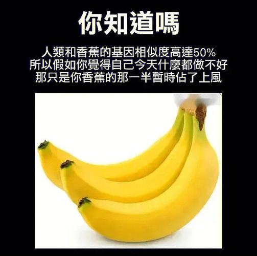 做梦梦到香蕉是什么意思