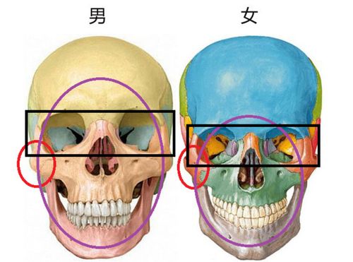 怎么看男人骨相好不好