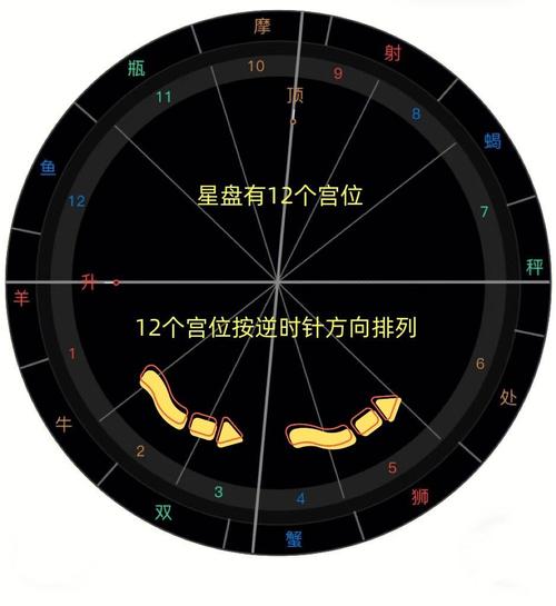 星盘为什么准得可怕