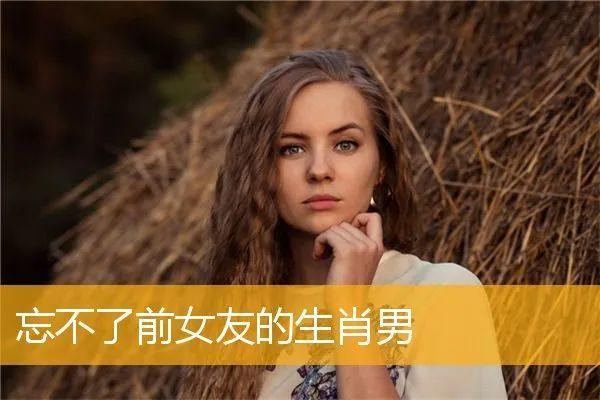 忘不了前女友的生肖男