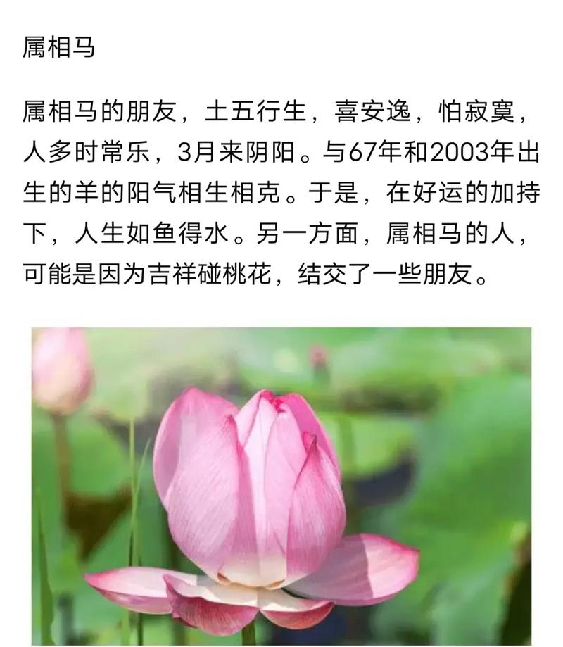 十二月桃花运大旺的三大生肖