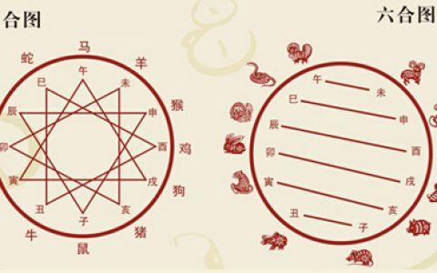 兔和鸡怎么才不相冲