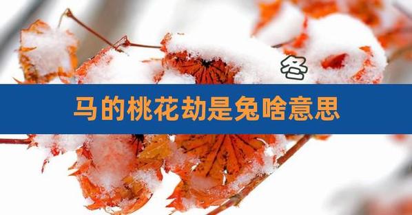 生肖兔:桃花劫要出现的征兆