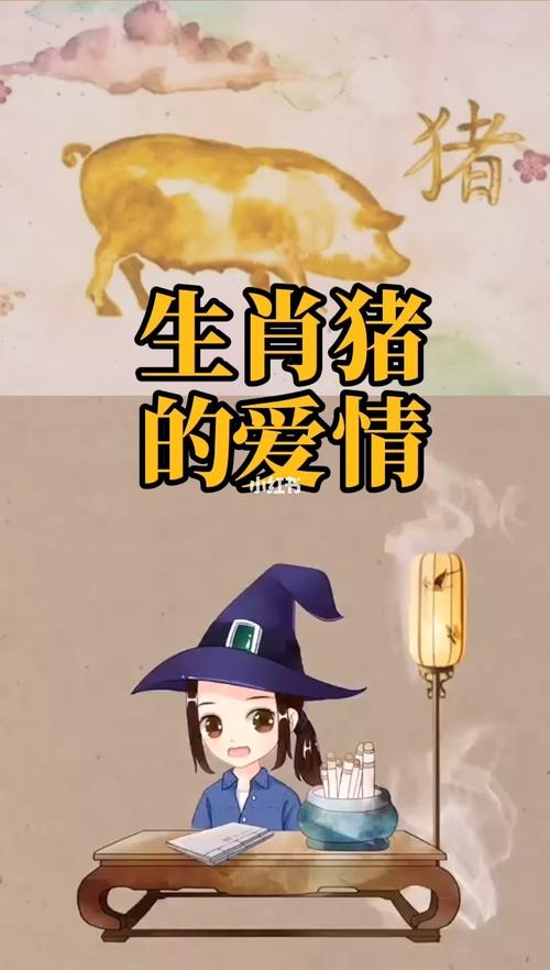 属猪人的爱情之路