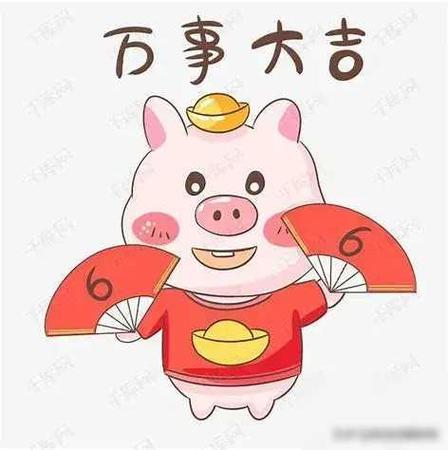 猪年出生的人命运如何·男人篇