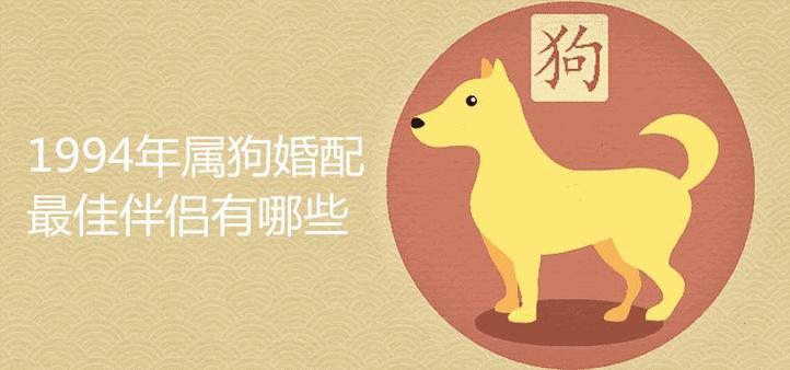 属狗人对另一半的期望有多高
