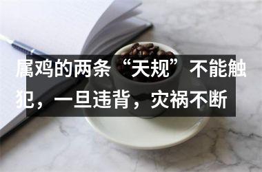 属鸡的两条“天规”不能触犯,一旦违背,灾祸不断