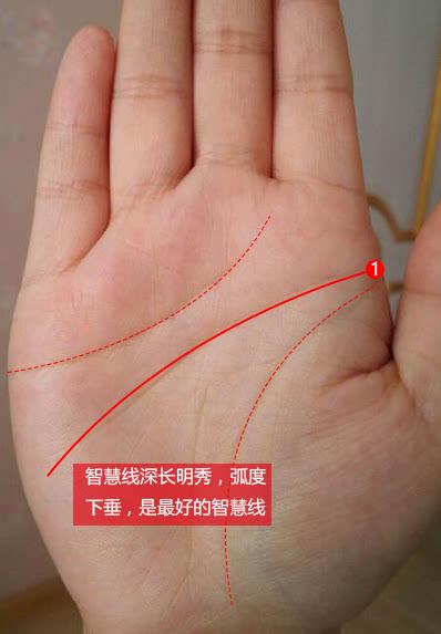 手相智慧线很长的人有大智慧是真的吗?