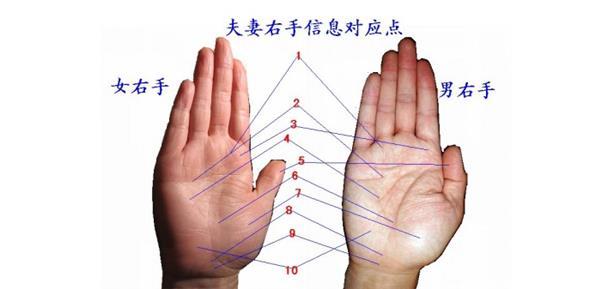 女人看相看左手还是右手