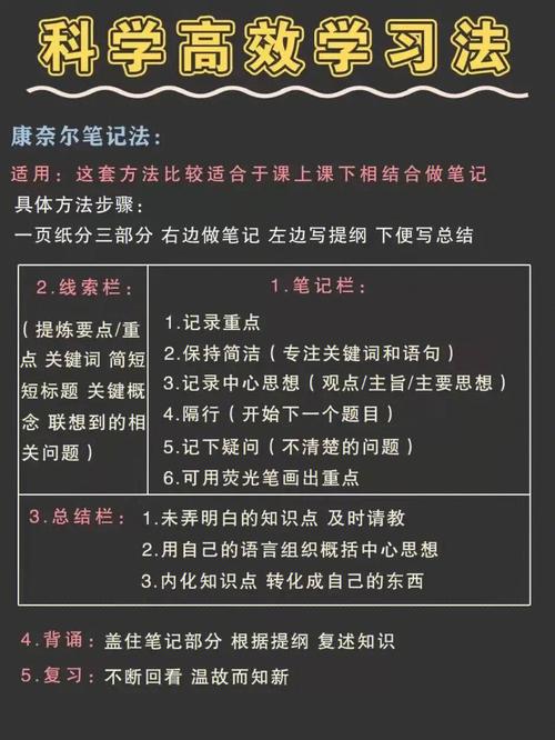 学霸诞生的时辰