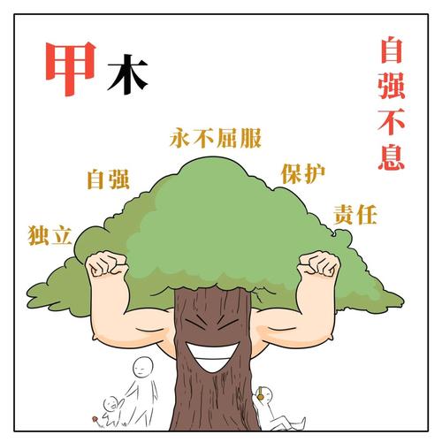 甲木男的性格