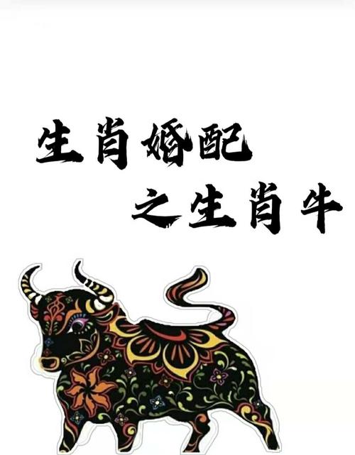 牛年生人婚姻的属相配对