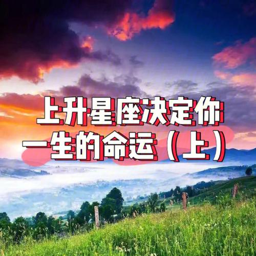 上升星座决定什么