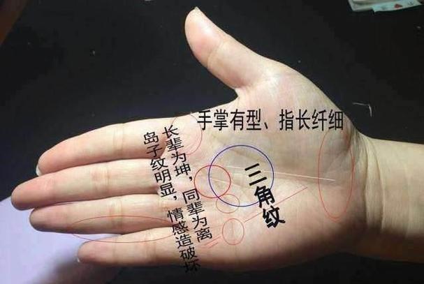 女人断掌手相感情