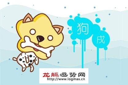 属狗适合什么职业