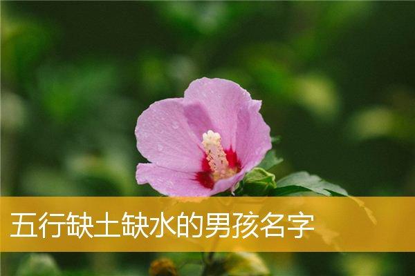 取名字男孩缺土和水