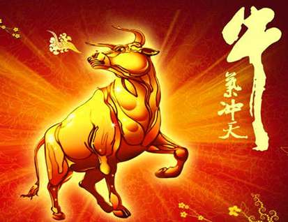 生肖牛人心血来潮会做什么