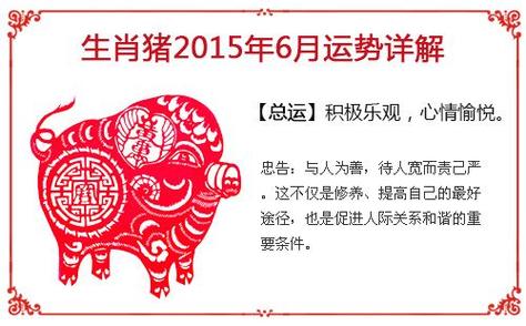 12月属猪的人命好吗