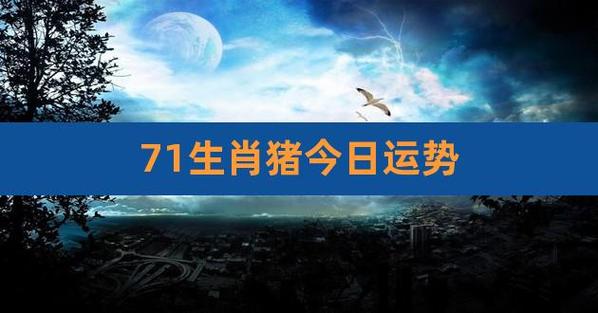 71年出生的52岁属猪人2023年全年运势详解