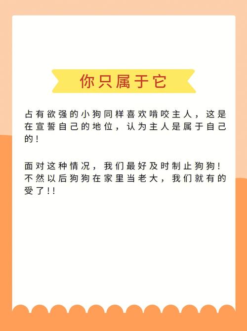 女人梦到狗咬右手不放是什么征兆