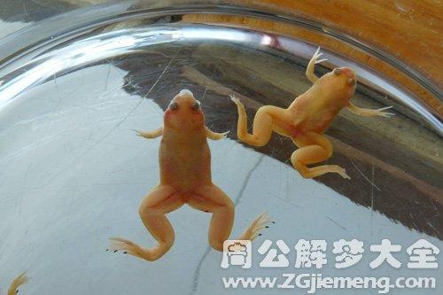 梦见金蛙在水里游是什么意思