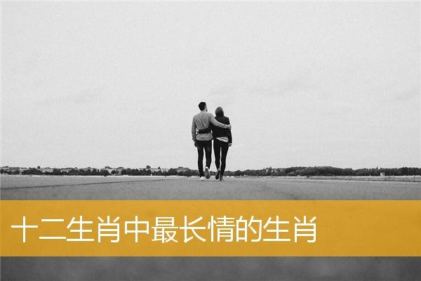 属狗的男人喜欢一个人表现