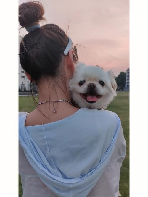 女生的什么行为会让属狗男暗自窃喜
