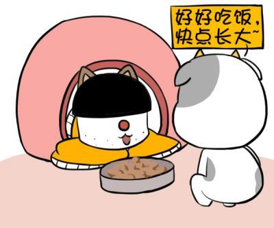 宠物眼中的金牛座是什么样子的