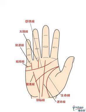 善于交际的人有哪些手相学特点?