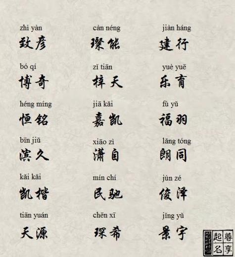 前途光明的猪年男宝宝起名大全