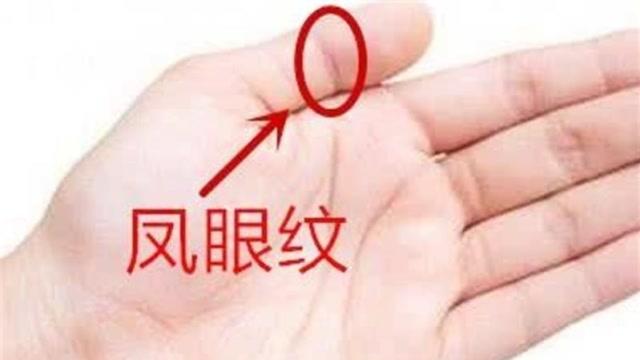 桑柘木命人有凤眼纹一生运势如何?