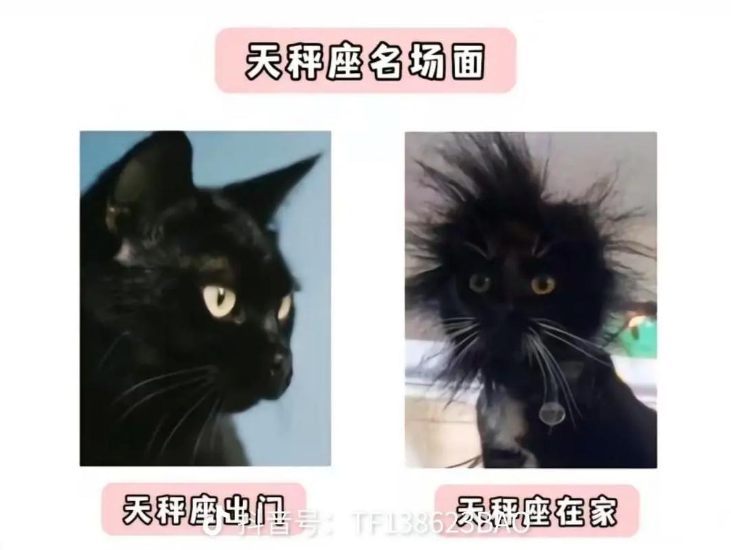 被问起初夜,天秤座怎么解释?