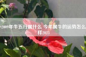 2009年属牛人五行