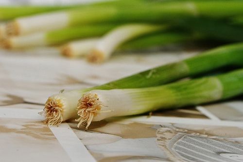 梦见拔葱拔树