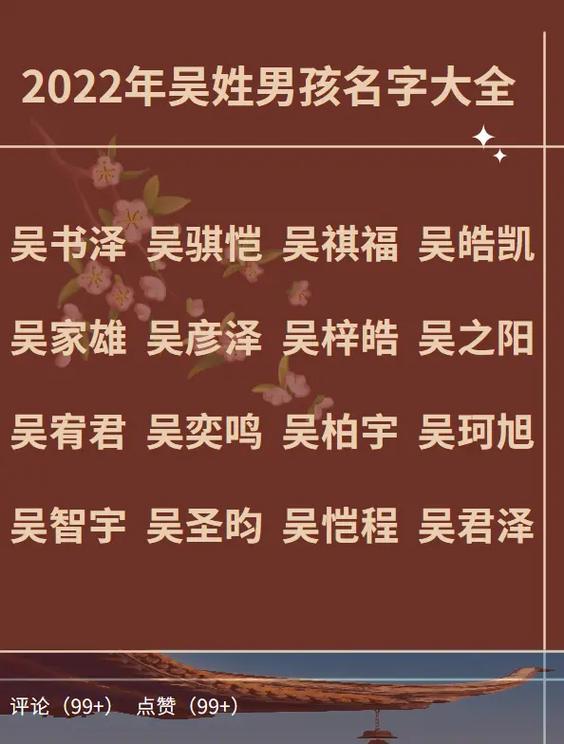 2022年出生的男孩名字