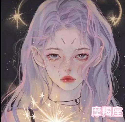 12星座女婚后角色