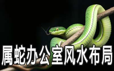 办公室进蛇有什么征兆吗?办公室的风水解析大全