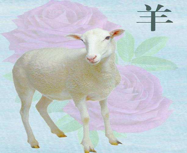 属羊人什么时候做事不喜欢别人插手