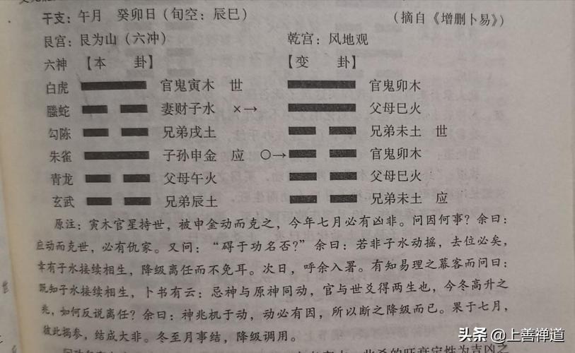 为什么子水和巳火暗合