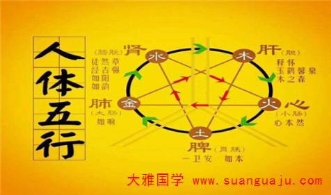 八字看健康,哪个部位易出故障