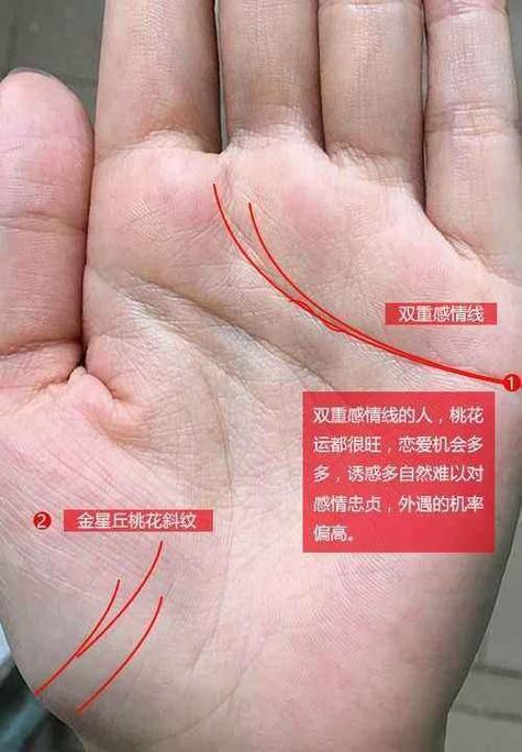 命里绝对会突然发大财的手相,上等旺夫的女人手相