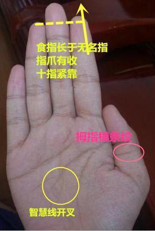 男人手有大开叉,财库大爆发,命运好到三天三夜都说不清