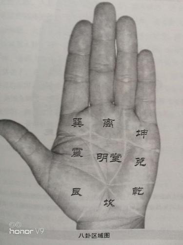 手相与中医的融会贯通