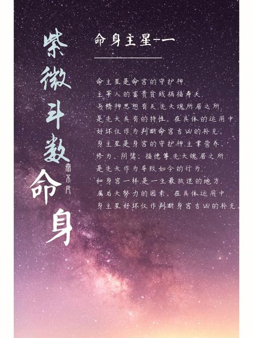 紫微斗数看富贵格局