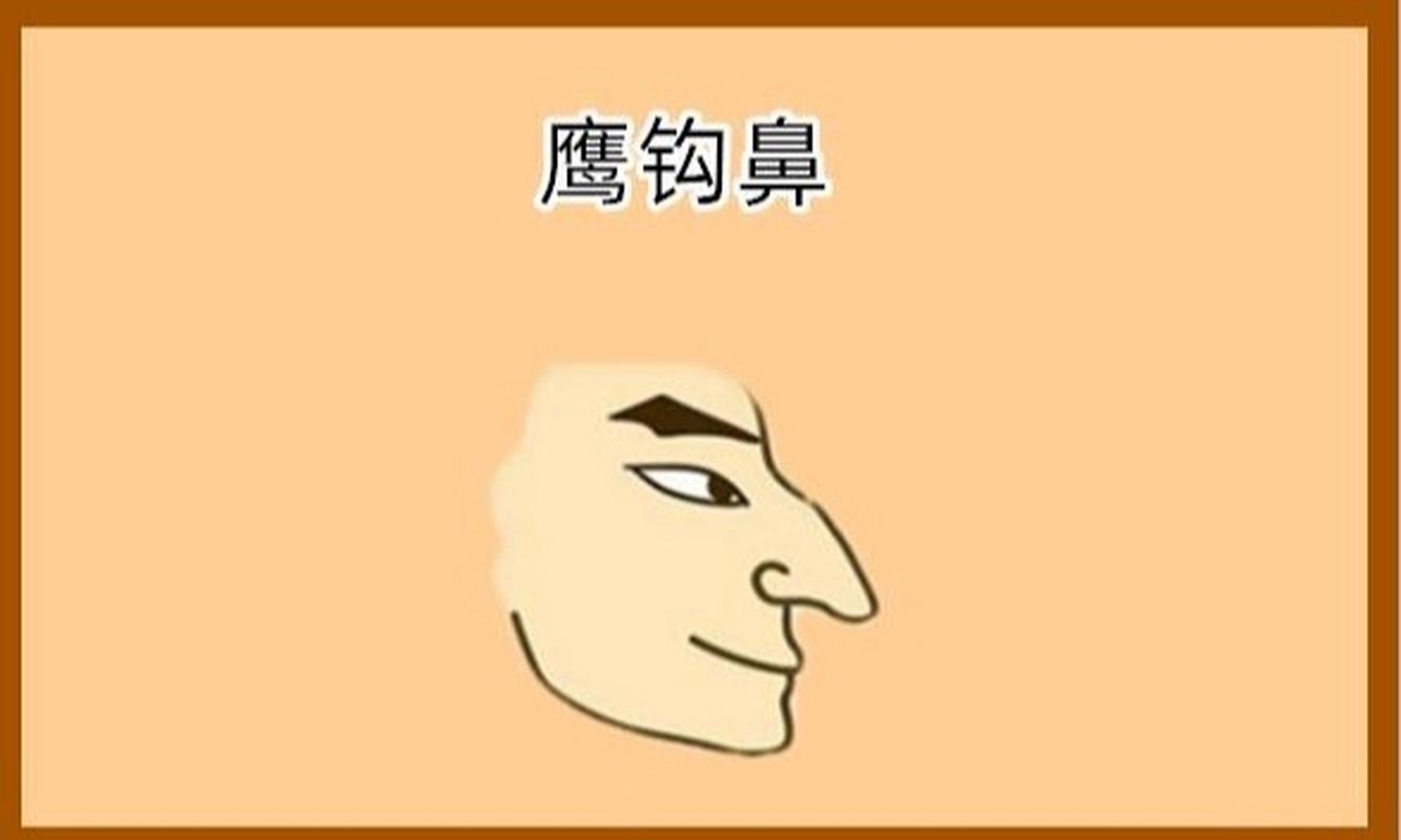 鹰钩鼻性格分析鹰钩鼻怎么改善