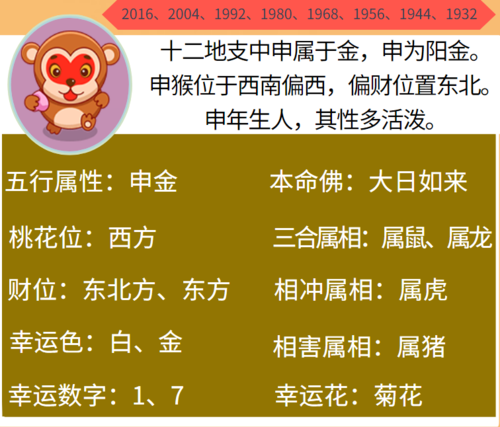 属猴的人的财位位在哪,十二生肖的六合财位分别在什么