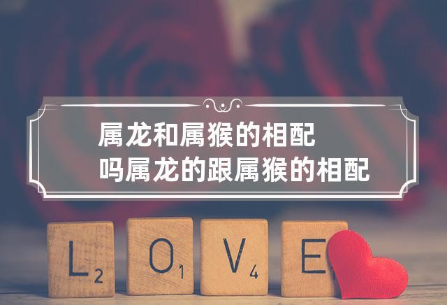 ​属龙男生和属猴女生配对