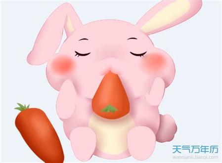 三月出生属兔人的运势