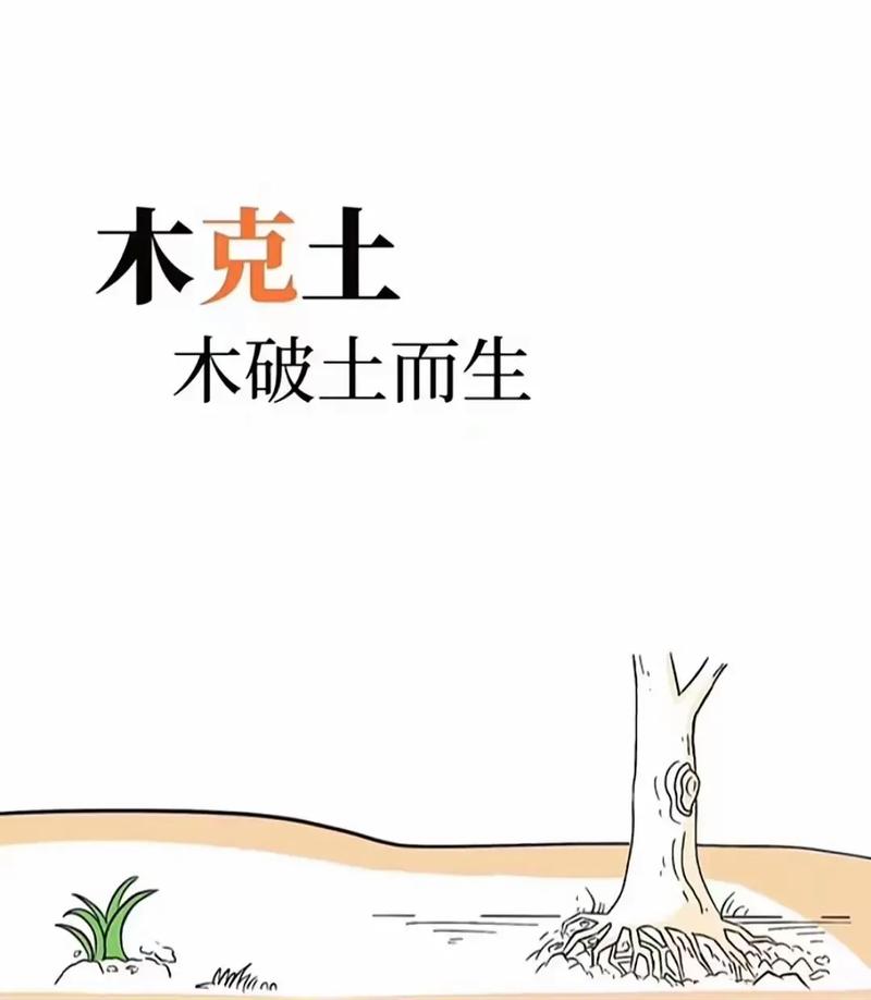 五行木和土相克吗