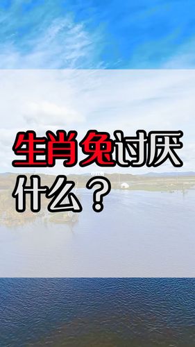 生肖兔的人会因为什么而发脾气